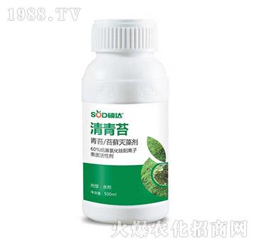 ����̦-�T�_(d��)