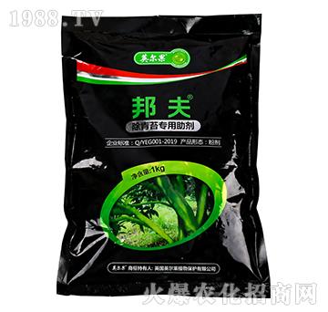 ����̦��(zhu��n)������-���-Ӣ����