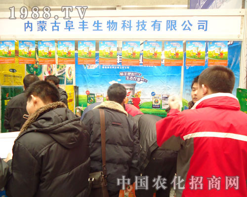 ���ɹŸ��S����-2011�ӱ����ϕ�����չλ