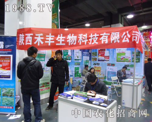 ���S����Ƽ��ںӱ�ʡֲ��������������