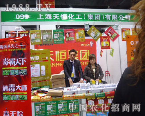 �Ϻ���㻯����������