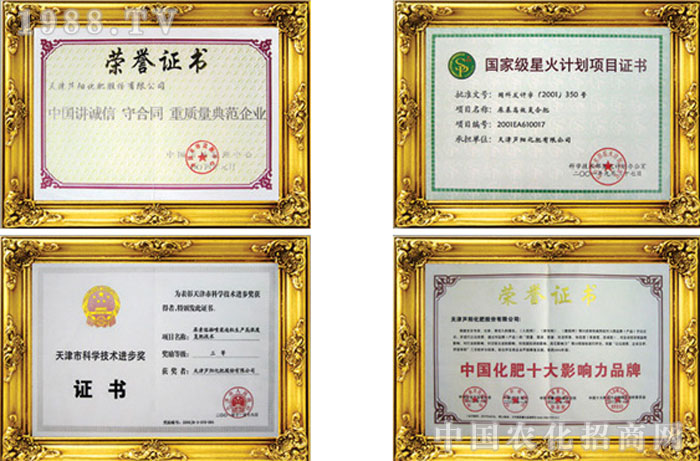 ����J�(y��ng)���ʹɷ����޹�˾