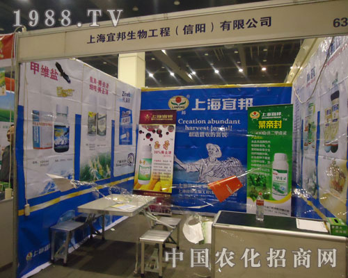 �~�۷�������R��ƴ