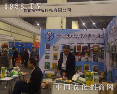 �����Ƽ�