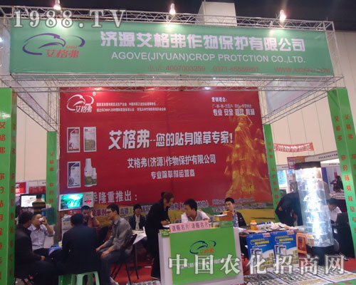 ���������N�����݌�����