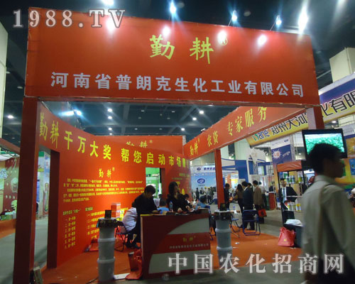 ���ʿ˵�������r(n��ng)ˎ��(hu��)