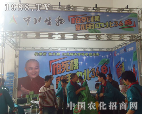 �������������б�36E