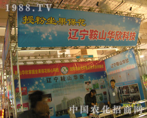 �ڷ������������|����ɽ�A���Ƽ�