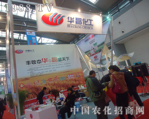 2011�׏�(f��)�ʕ����A�����������P(gu��n)ע