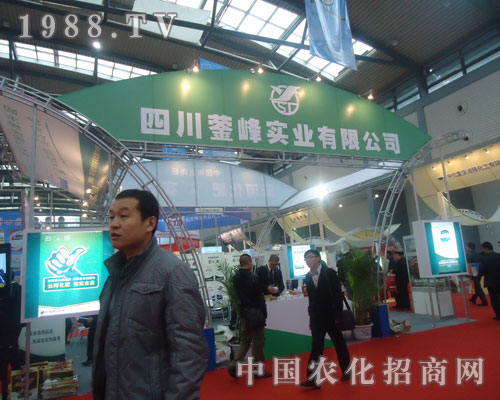 �Ĵ��v�匍(sh��)�I(y��)���޹�˾�����׏�(f��)�ʕ�(hu��)�Ϸe�O����