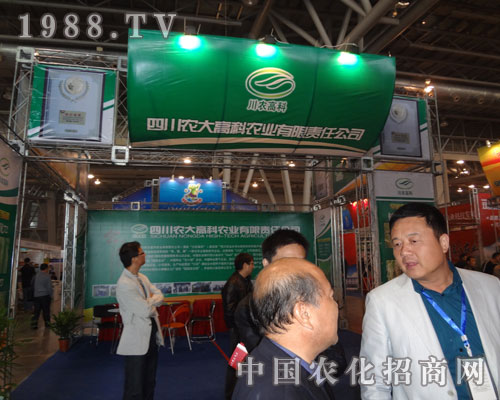 �Ĵ��r(n��ng)��߿��r(n��ng)�I(y��)����؟(z��)�ι�˾