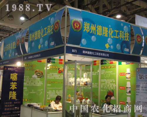 ���ݵ�¡��������ȫ��(gu��)ֲ��չ�_(k��i)�����N(xi��o)·