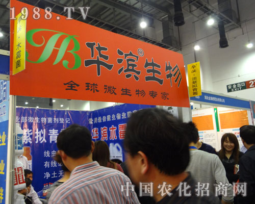 �A�I������΢�����