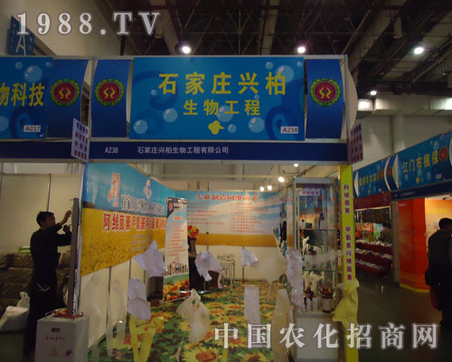 ʯ���f���d�����﹤���ڏB�Tֲ��չ�ϴ�Ů���