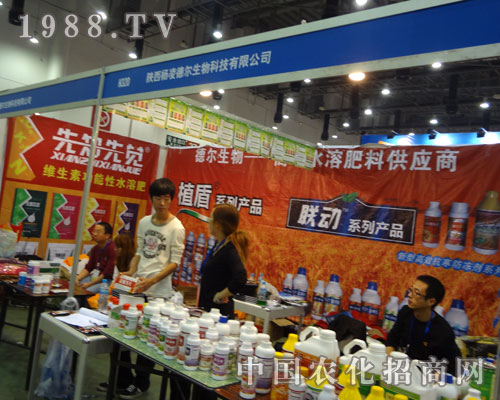 ���� ��F(xi��n)��B�T�r(n��ng)ˎ��(hu��)