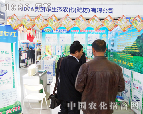 ���P�A���B(t��i)�ڵ����Ö|�����Ͻ��ו�(hu��)�J(r��n)������