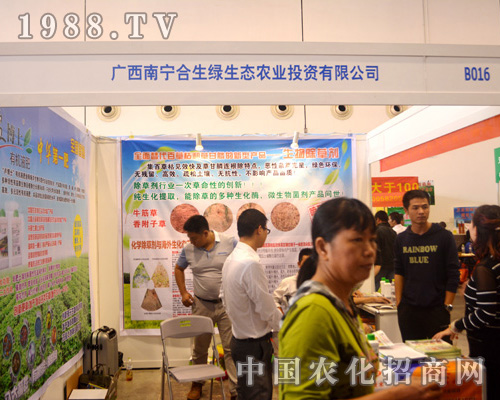 �ό������G���B(t��i)��2015�ό��r�Y��չʾ��Ʒ