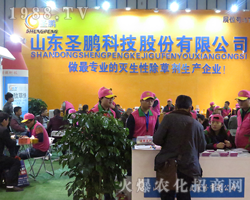 ɽ�|ʥ�i�Ƽ��ɷ����޹�˾��2016���Ͼ�ֲ�����õ�����J��