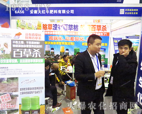 ���մ�tţ���������`��2016��32��ȫ��ֲ����(hu��)