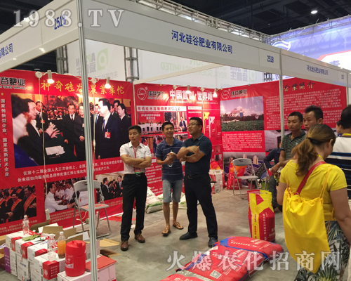 �ӱ���ȷʘI(y��)2017�ό��r(n��ng)�Y��(hu��)�c������(chu��ng)�x����