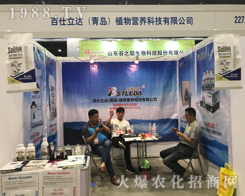 �������_������2017�V���r�Y���[��