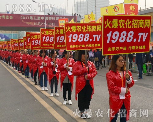 2017��ɽ�|ֲ����(hu��)���r(n��ng)������Ч����(qi��ng)��