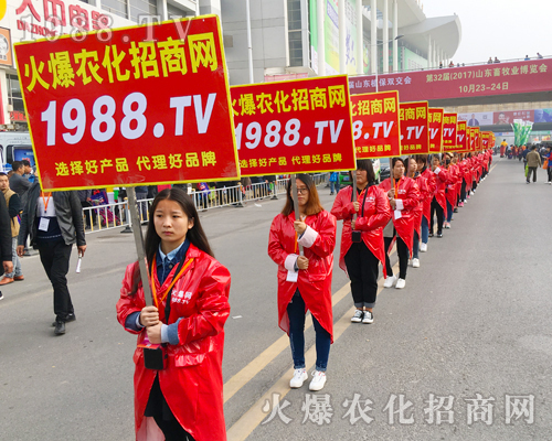     ��23��ɽ�|ֲ���������r���W��Ӣ���F��ɫ��