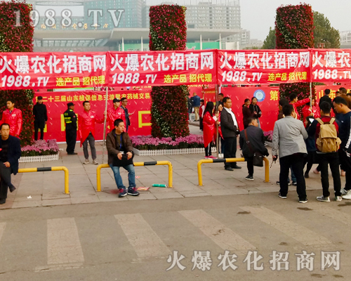     2017ɽ�|ֲ���p������1988.TVŬ��ƴ�����^����ǰ��