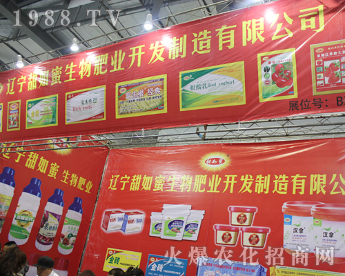 �|��������