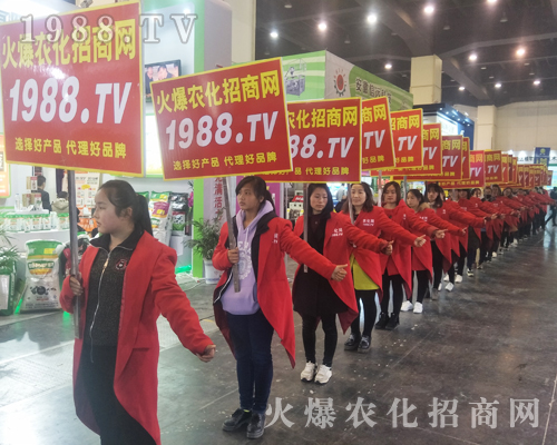 2017����Ϸ����p������1988.TV�����»���