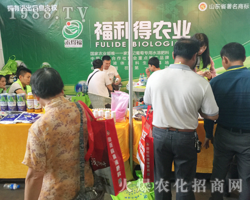 �����r(n��ng)�Y���ϸ������r(n��ng)�I(y��)��չ�̲���