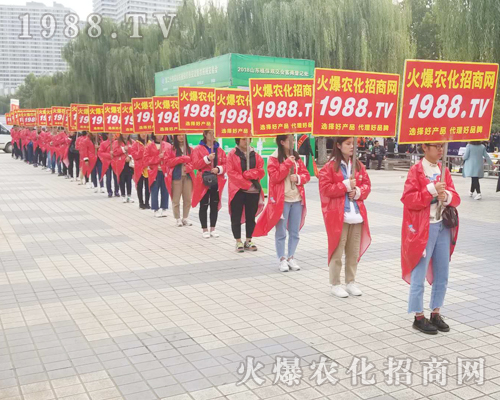     �R�������������2018��24��ɽ�|��(j��)��ֲ���p����(hu��)��