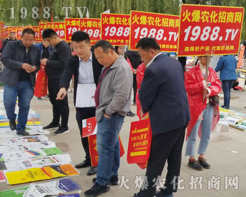     2018ɽ�|��(j��)��ֲ�����ו�(hu��)�����r(n��ng)���W(w��ng)����ֱǰ��