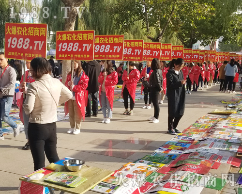     1988.TV���r(n��ng)�����̾W(w��ng)2018��(j��)��ֲ����(hu��)��(d��)���L(f��ng)����