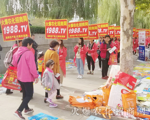     ��24��ɽ�|ֲ�����ו��ϻ��r(n��ng)���W(w��ng)��Ӣ�ɳ�������(zh��n)����