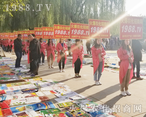 2018ɽ�|ֲ�����ו���1988.TV����***��