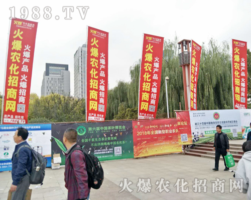 2018ɽ�|ֲ���p�����������r(n��ng)���W(w��ng)ȫ���������̹���