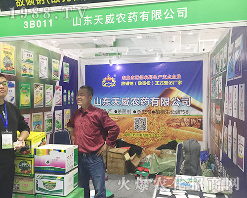 2018��24��ɽ�|��(j��)��ֲ�����ו�(hu��)��ɽ�|�����r(n��ng)ˎ�����ƏV