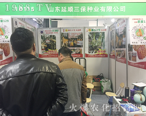 ɽ�|���������2018��24�Ý���ֲ���p����������