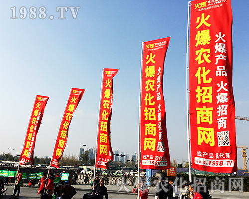 ����ʮ�Č�ȫ��ֲ����(hu��)�����r(n��ng)�����̾W(w��ng)�L(f��ng)��ȫ����