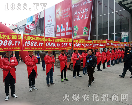 Ҫ����������1988.TV�ذ�����2018�ӱ�ֲ������