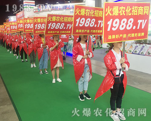 ���r���W�F�Yһ�y�ֲ�������2018�����r�Y���[����