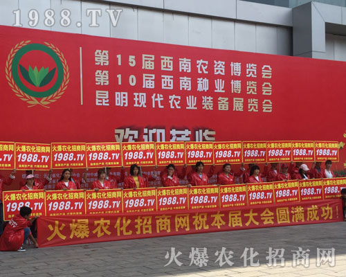 �o̎�����r(n��ng)���W(w��ng)���M�۱M�ǻ𱬼t��