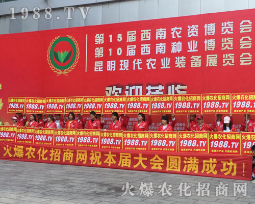 �o̎�����r(n��ng)���W(w��ng)���M�۱M�ǻ𱬼t��