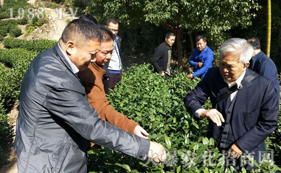 �ӱ����_������﹤�����޹�˾