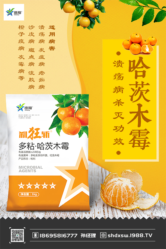 ���{�ڰ߲�Σ���@ô��������ԓ��η����������������