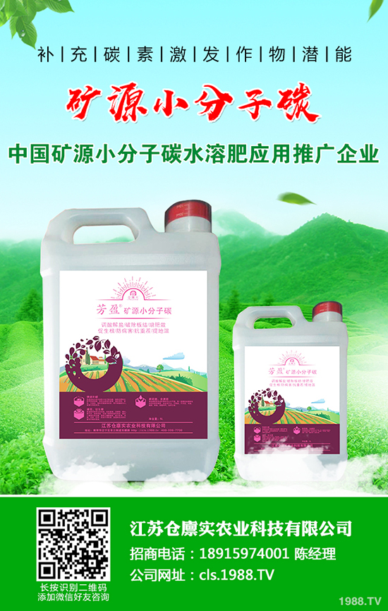 �R������l(f��)���߲���ô�k���R������߲����η�����