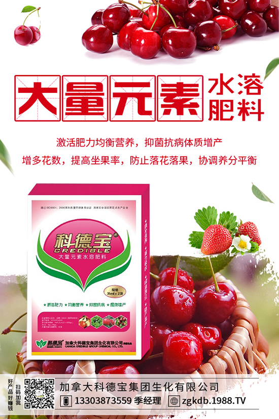 ������(ji��)�N��ᘹ����������������(ji��)��ᘹ�����������