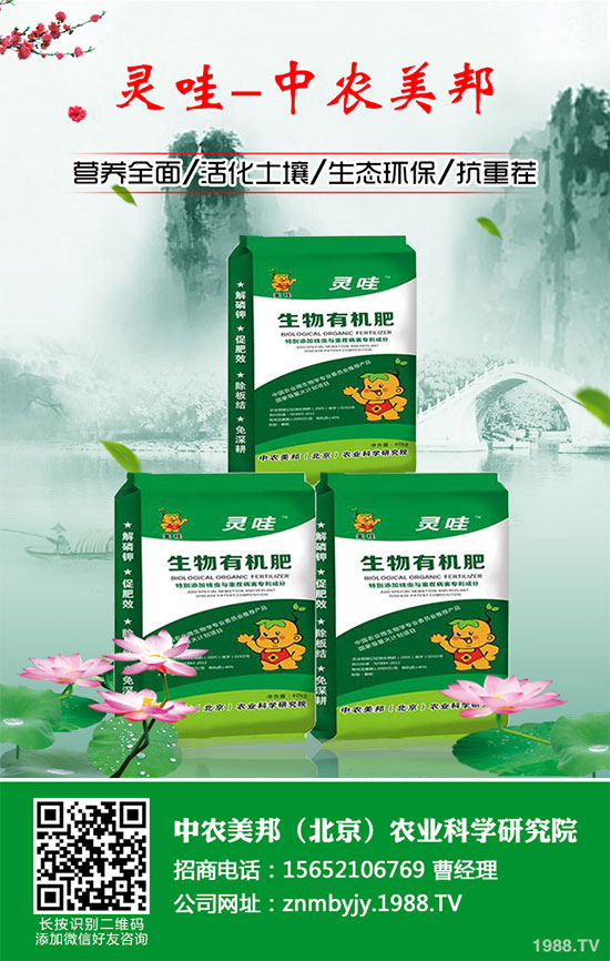 С�����N�^(gu��)������ЩΣ����С�����N���������