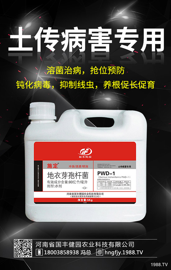 С�����݄�ʲô�r���ã�С������݄��ĕr�g��ע�������